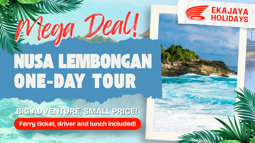 MEGA DEAL - Private Tour to Nusa Lembongan (For 2 Pax)
